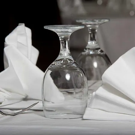 Swiss International فندق