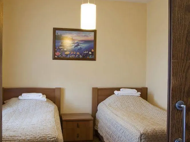 Swiss International 5*